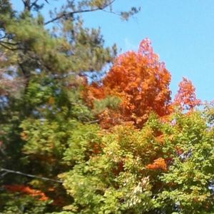 Meet your Posher, Vivian