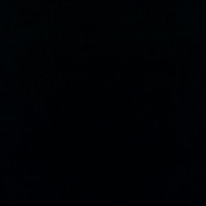 Meet your Posher, Carl