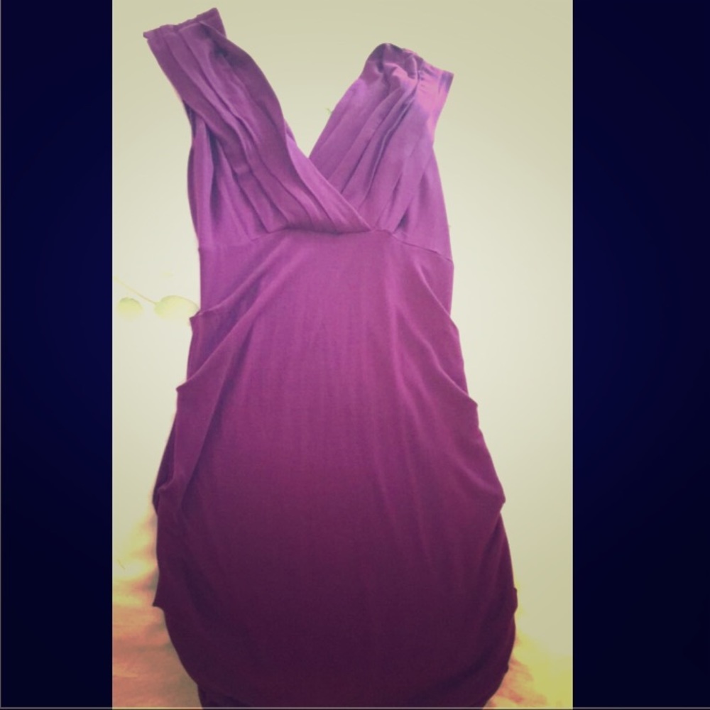 Purple Fitted Dress