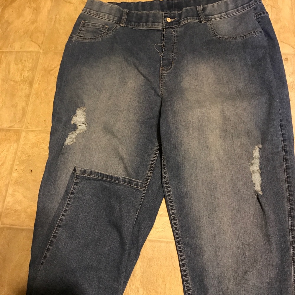 Lane Bryant Skinny Jeans