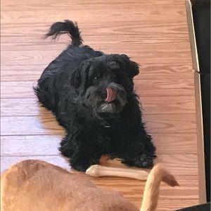 Meet your Posher, James