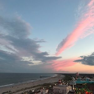 Meet your Posher, Bella