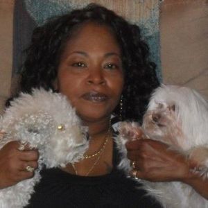 Meet your Posher, Gloria