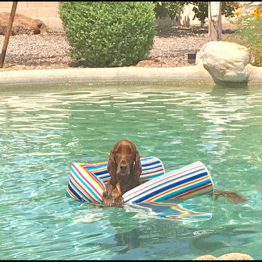 Meet your Posher, Kim