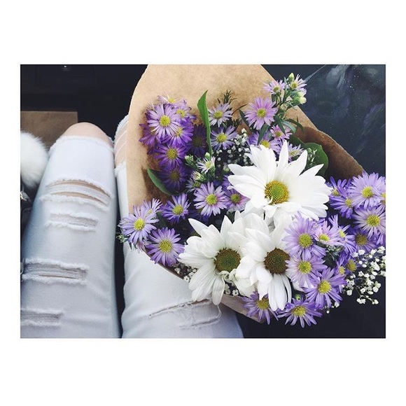 Meet your Posher, Dora - Picture 4 of 8