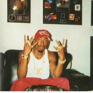 Meet your Posher, Alvin