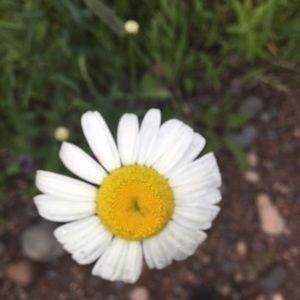 Meet your Posher, Gina