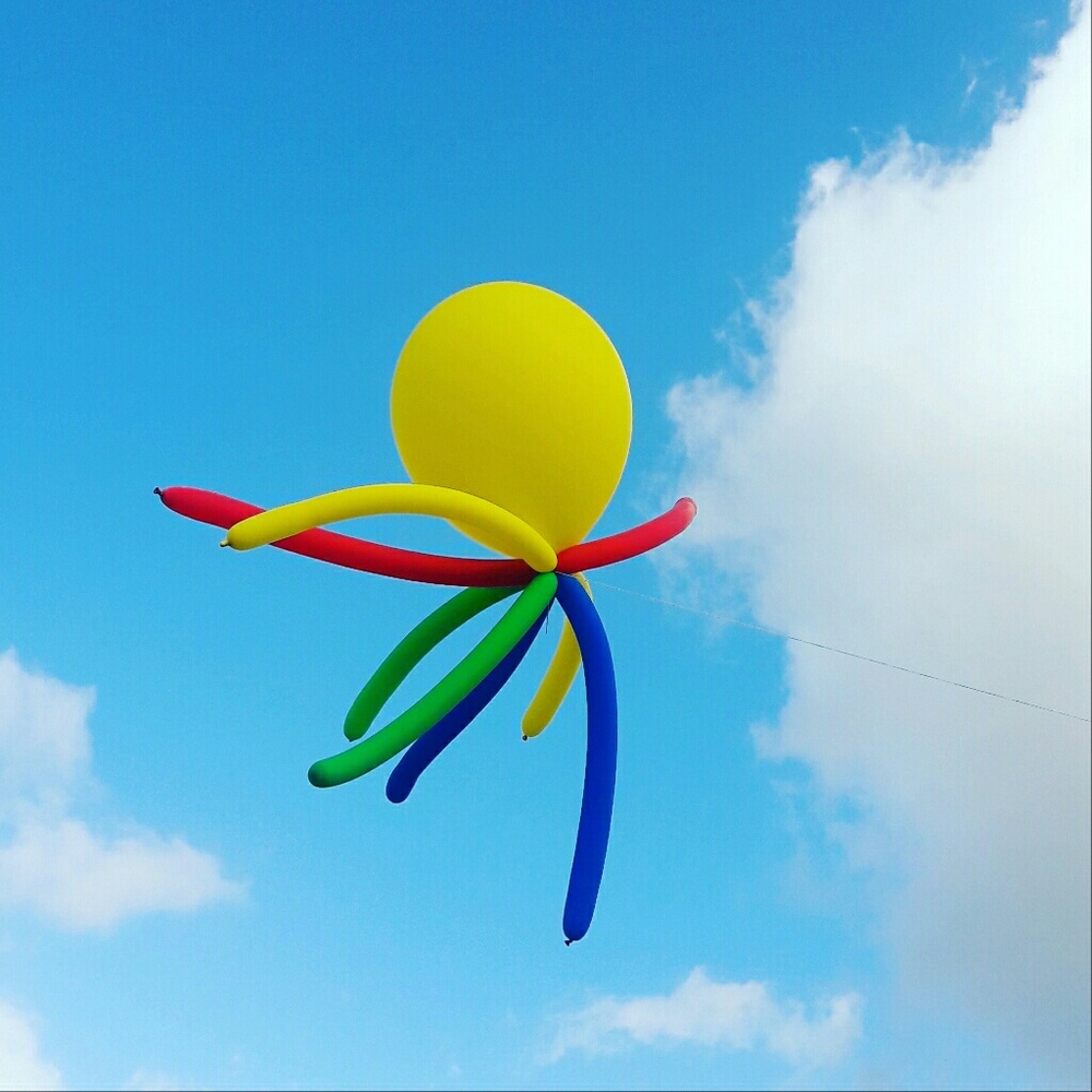 Meet your Posher, Leslie