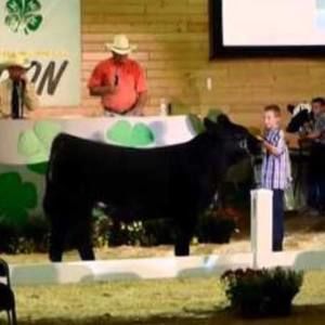 Meet your Posher, Hayden