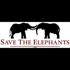 Donate to Save The Elephants!!!