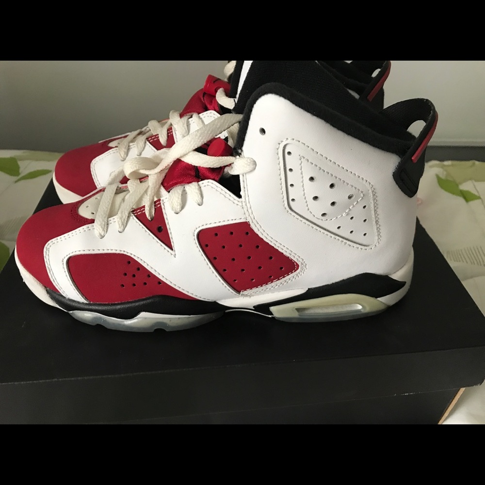 Air Jordan Carmine 6s