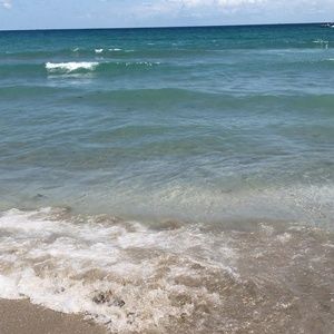 Meet your Posher, Sylvia