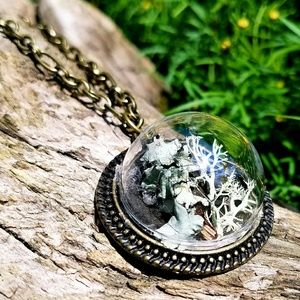 "Instant Intrigue"- Moss Terrarium Necklace