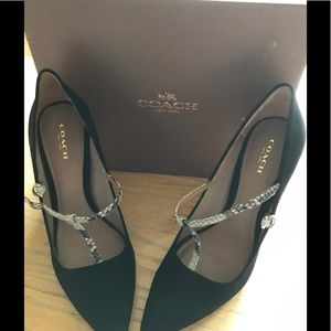 Coach suede pumps.