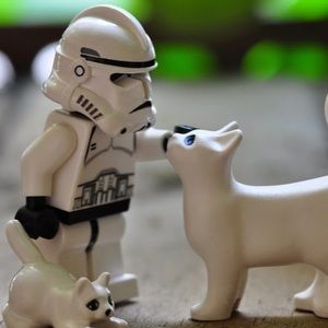 Meet your Posher, Will