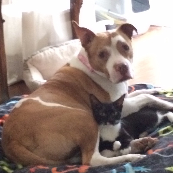 PLEASE RESHARE - Picture 2 of 3