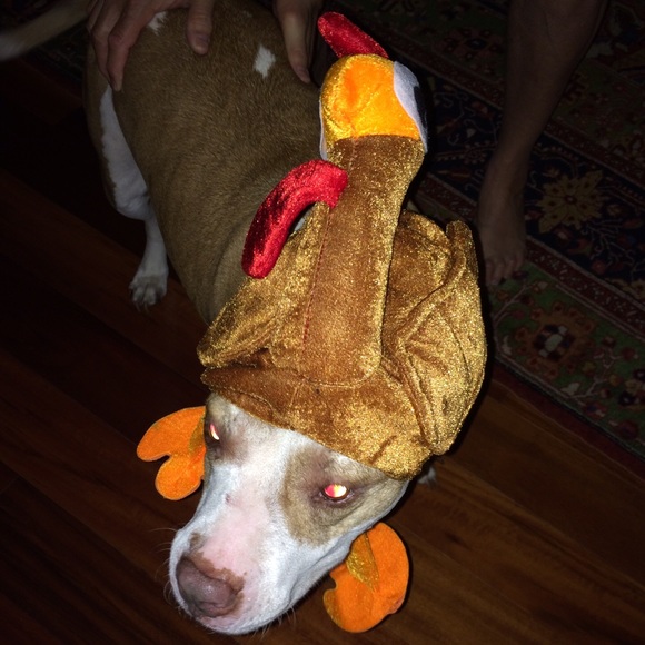 PLEASE RESHARE - Picture 3 of 3