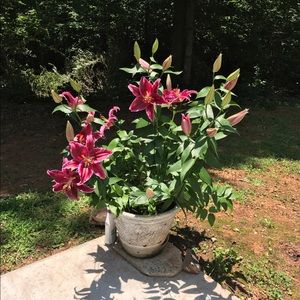 Meet your Posher, Gloria