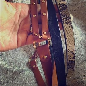 Eloquii Belt Bundle