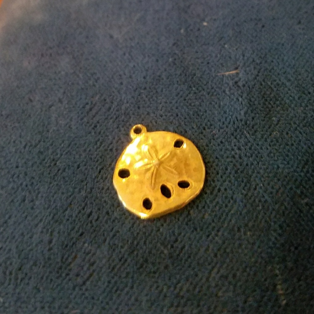Super cute sand dollar charm