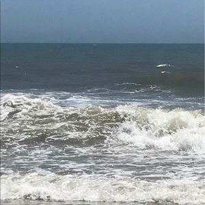 Meet your Posher, Rob