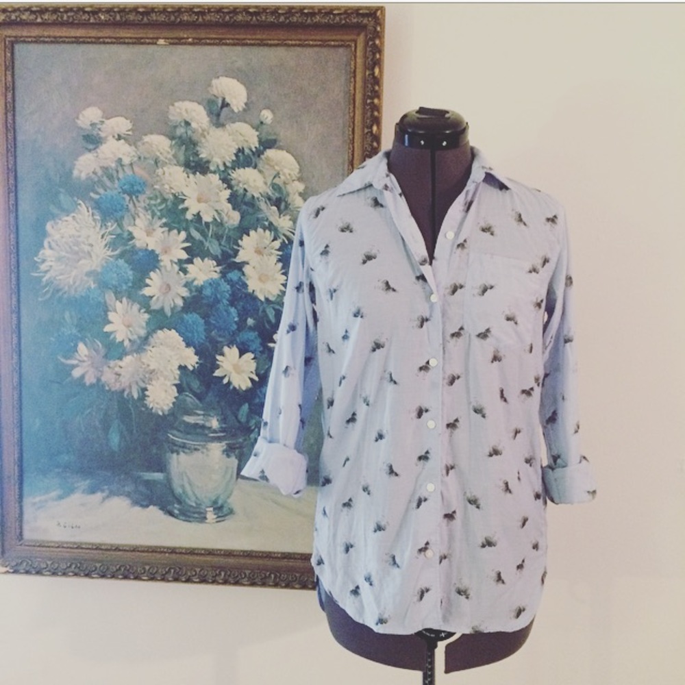 Gap * Button down shirt