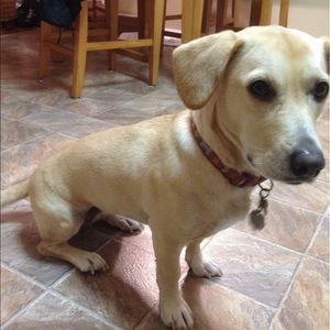 Meet your Posher, Caryl