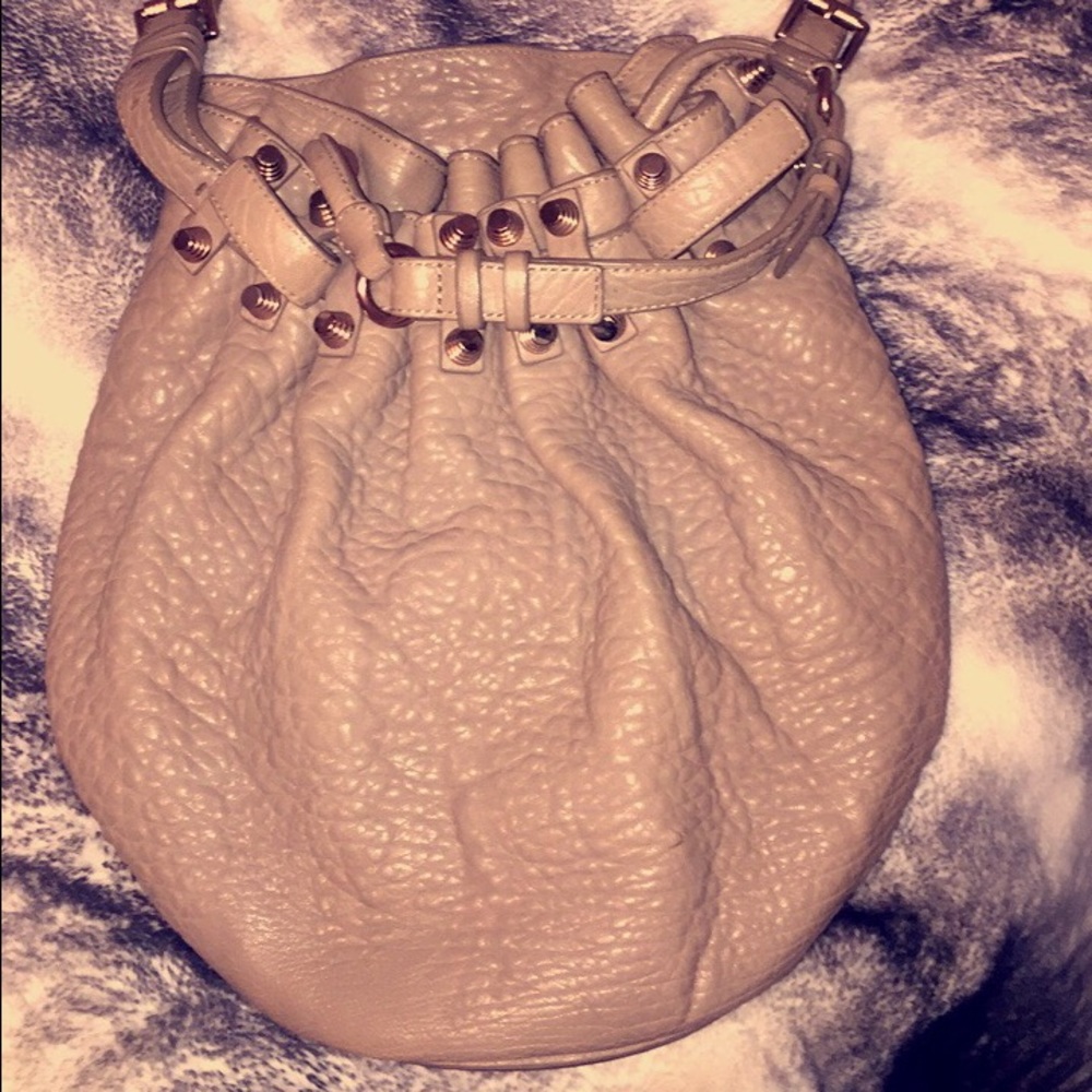 Alexander Wang Diego Tan & Rose Gold Bucket Bag