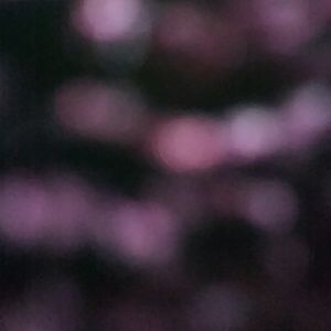 Meet your Posher, Erik