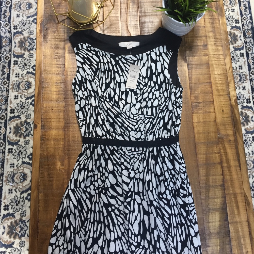 NWT Loft black and white dress XXSP