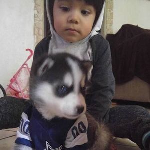 Meet your Posher, George