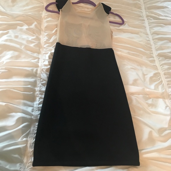 Sexy Mesh "Cat Dress" - Picture 4 of 4