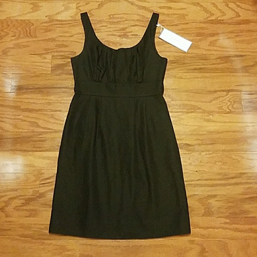 Brand new, brown J Crew dress! Size 2P