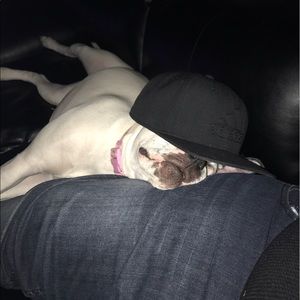 Meet your Posher, Jess