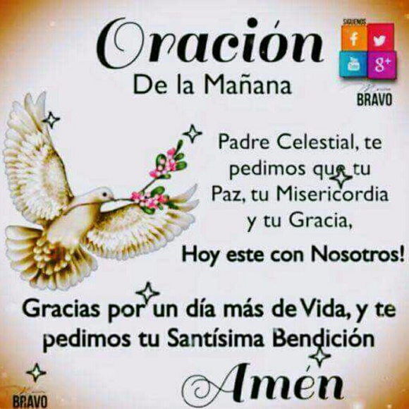 Meet your Posher, Julie - Picture 1 of 1