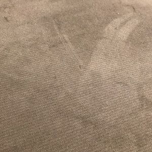 Meet your Posher, Sarineh