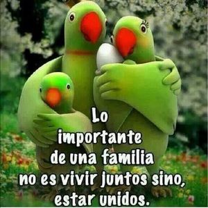 Meet your Posher, Ernesto