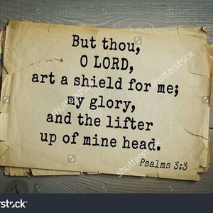 Meet your Posher, Kerri-ann