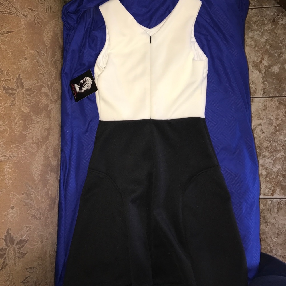 Marilyn Monroe Dress - Picture 3 of 3