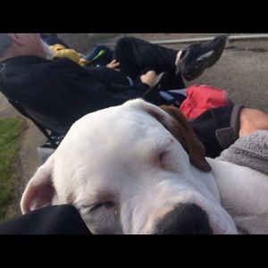 Meet your Posher, Kim