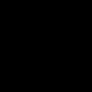 Meet your Posher, Ann