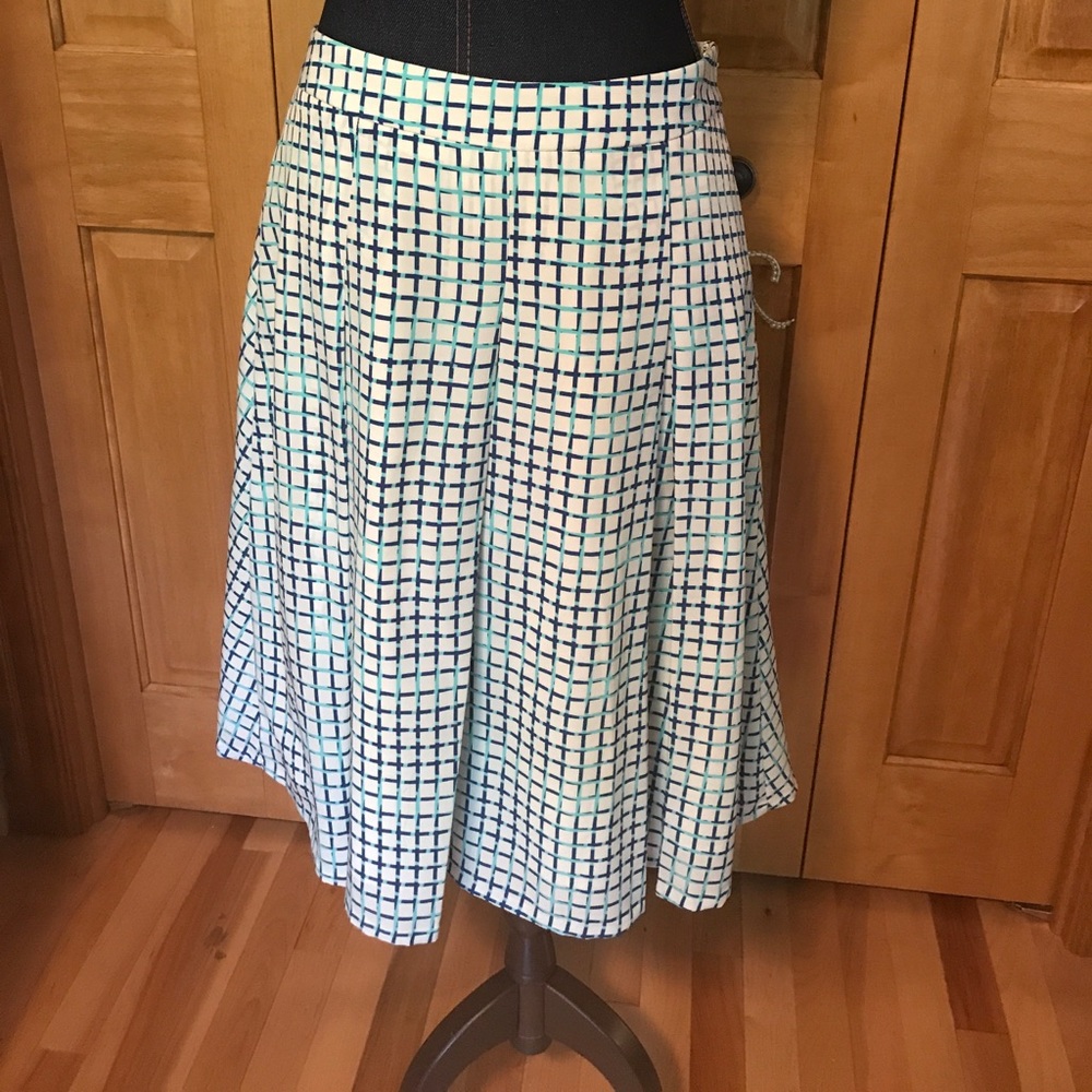 The limited skirt