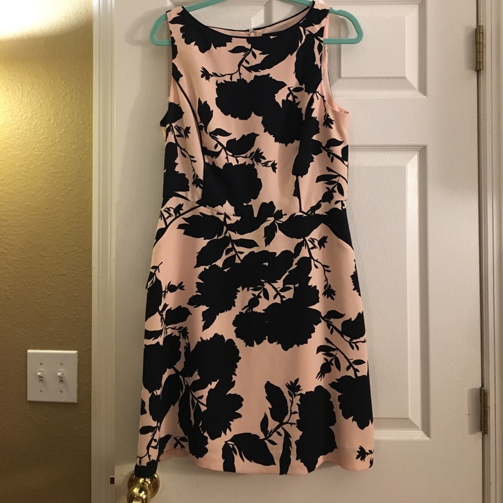 The Limited: Blush pink & navy print dress