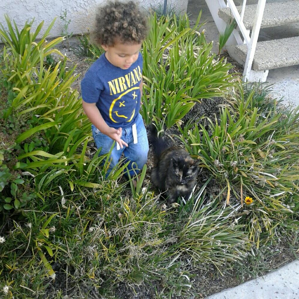 Summer Fun - Picture 2 of 8