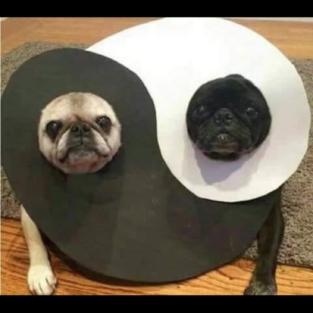 Accepting any reasonable offers!!