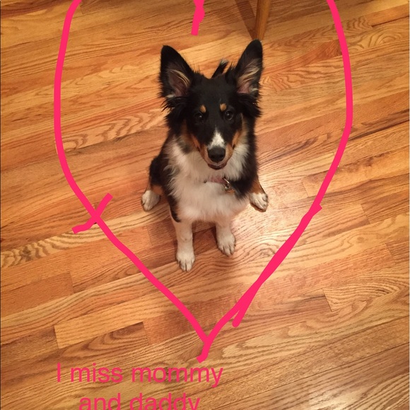 Meet your Posher, Shelly - Picture 1 of 1