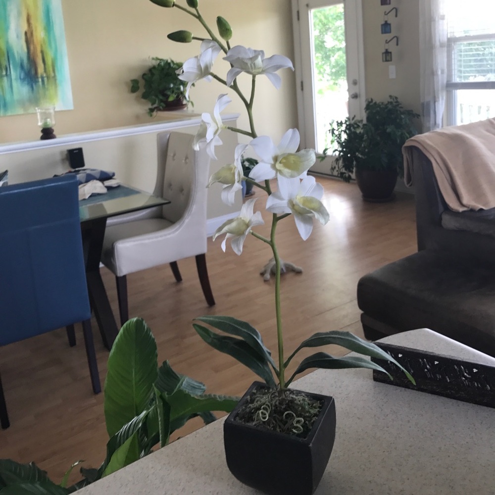Fake plant