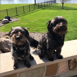 Meet your Posher, Cynthia