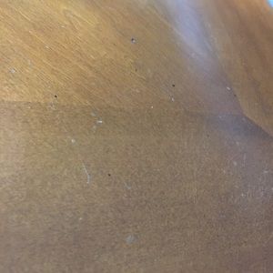 Meet your Posher, Tommy