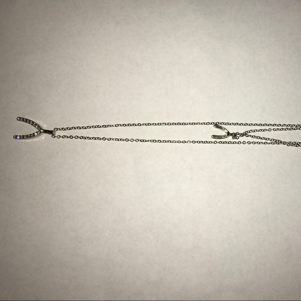 Long horseshoe necklace